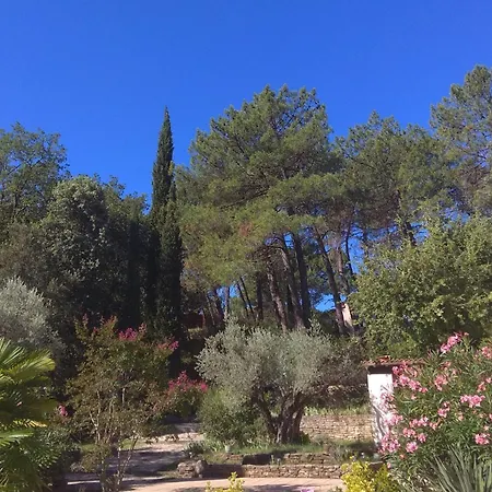 Les Tournesols 1 Appartamento Saint-Alexandre